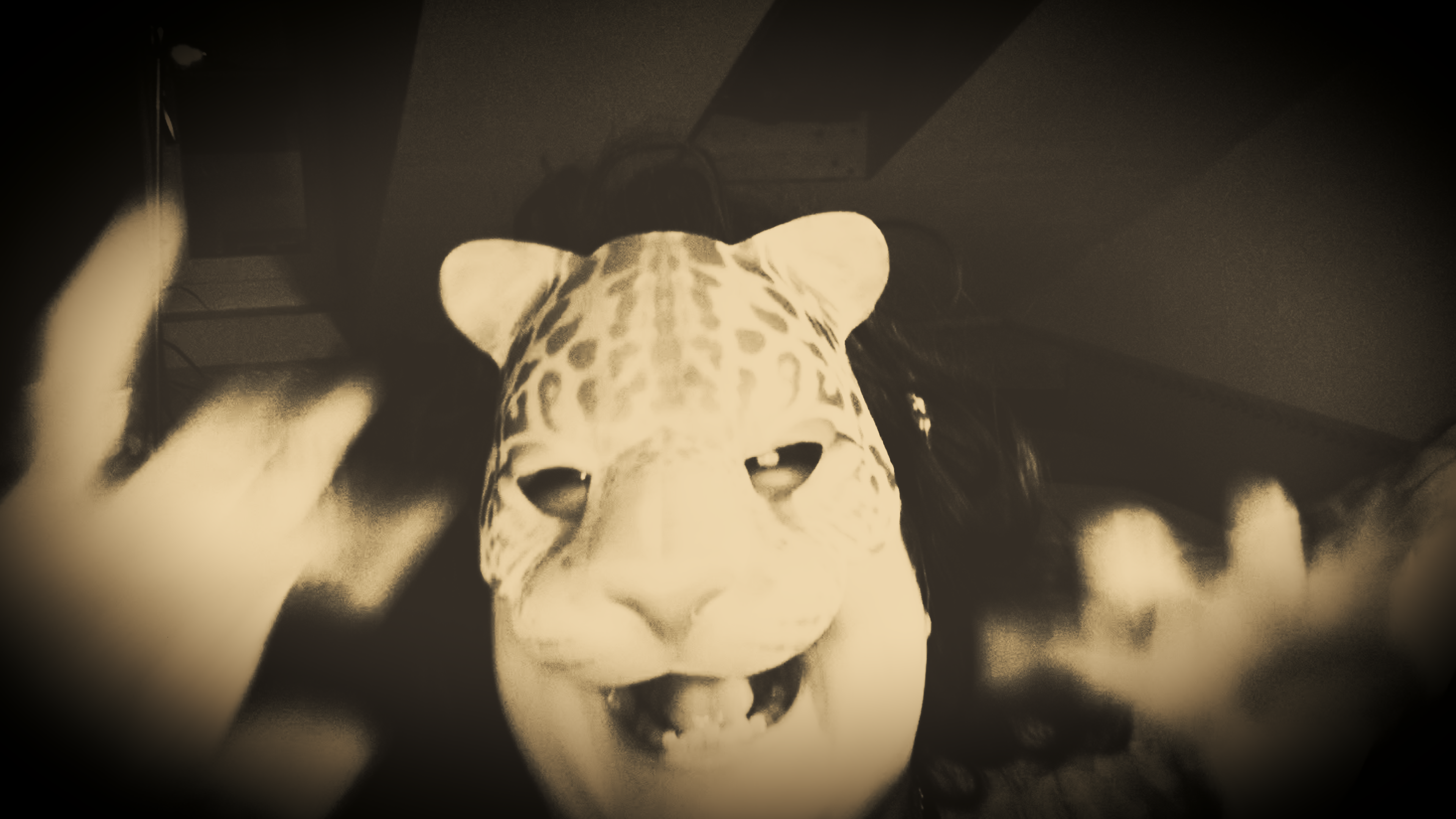 Still 2 from The Leopard Goddess